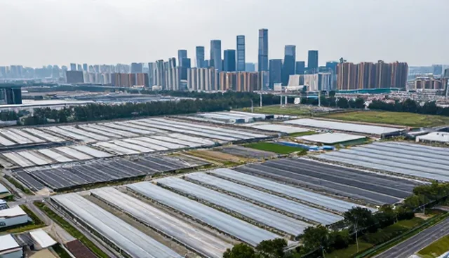 信息不对称:多行业贸易合作中的关键挑战