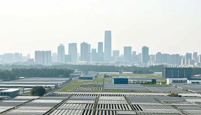 企业信用查询服务选型中的关键考量因素